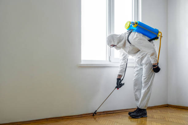 Best Real Estate Pest Inspections  in Republic, WA